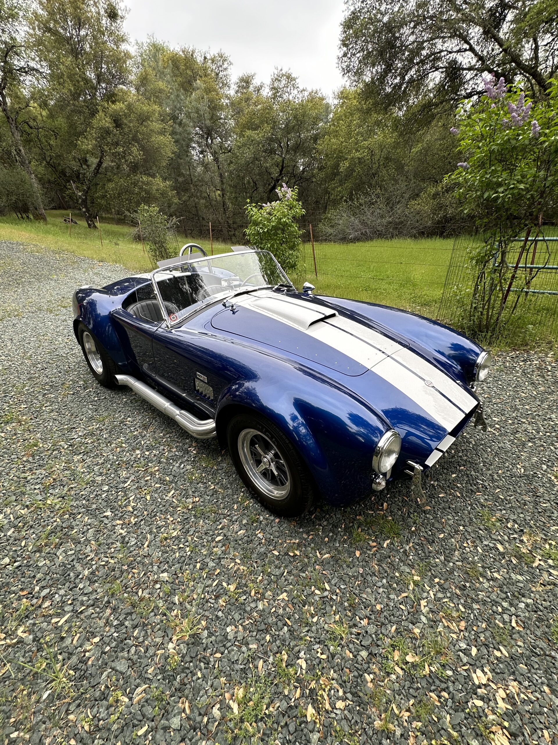 
								1965 Ford Cobra 351/392 full									