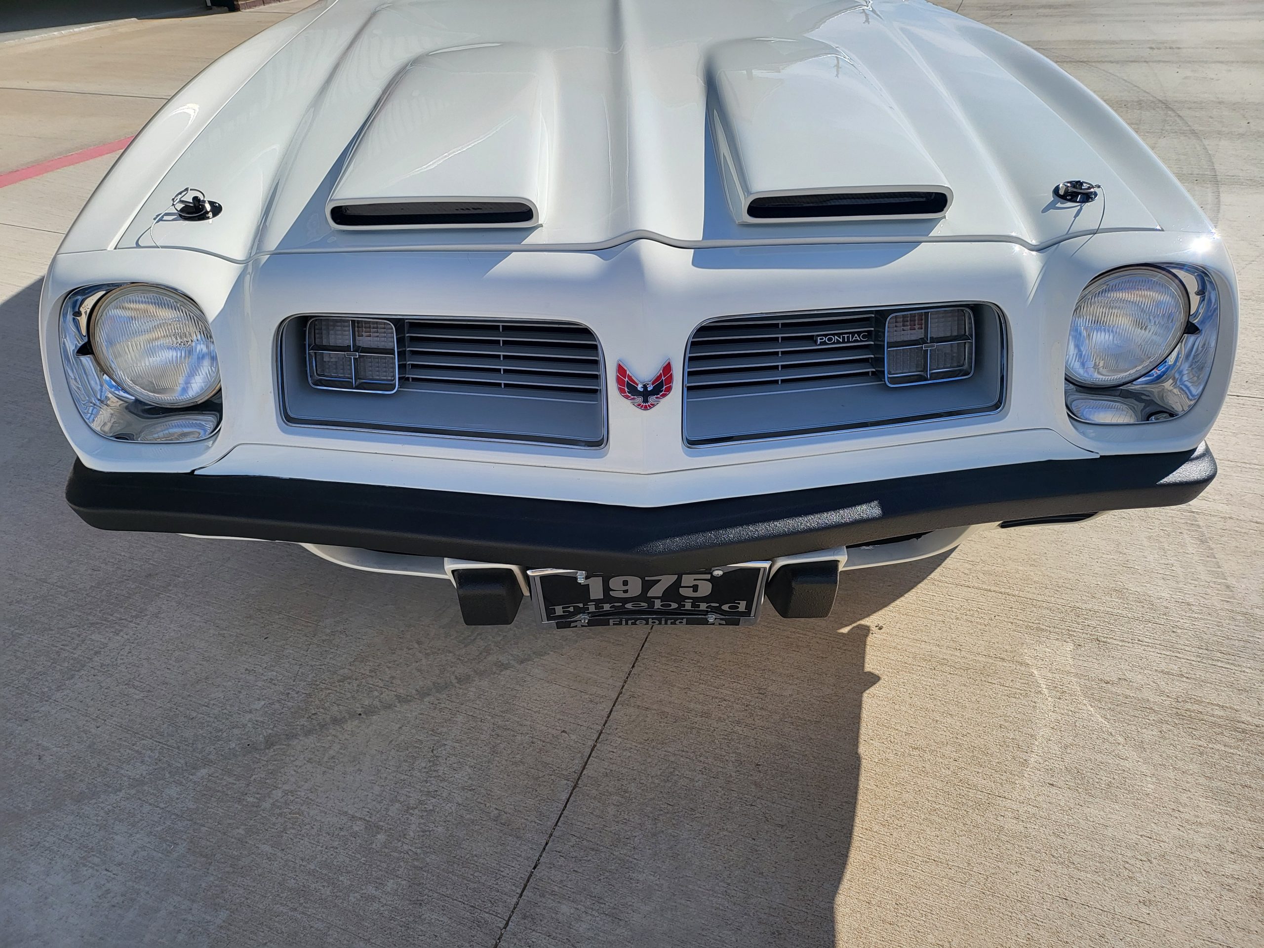 
								1975 Pontiac Firebird full									