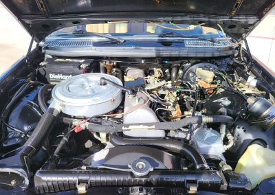 
								1981 Mercedes-Benz 300D full									