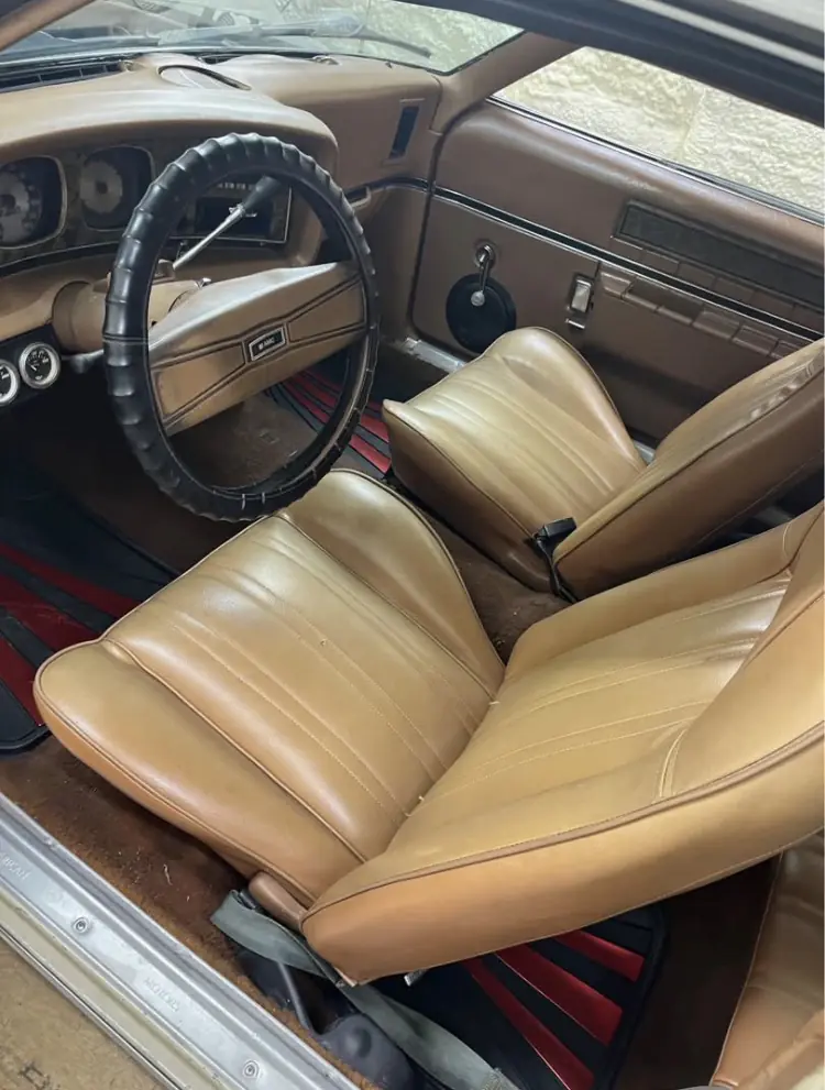 
								1974 AMC javelin full									