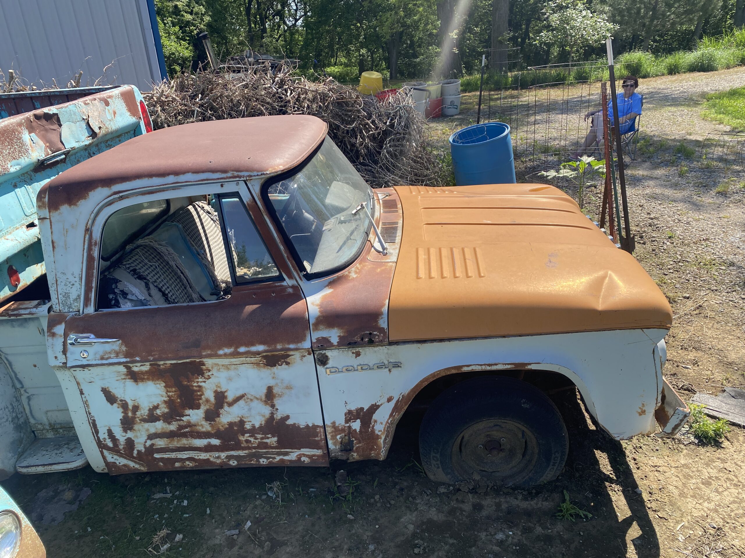 
								1964 Dodge D100 full									