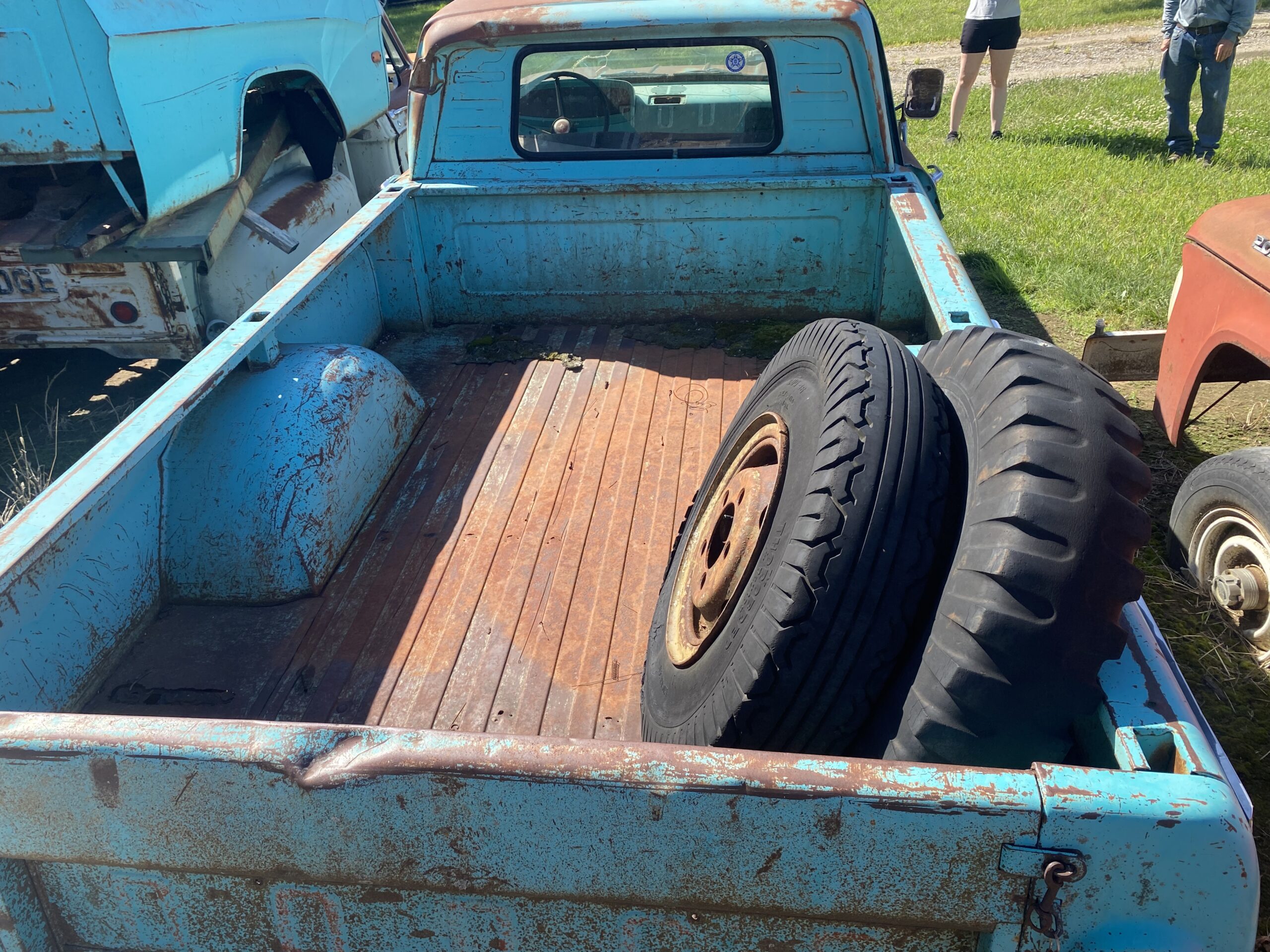 
								1964 Dodge D200 full									
