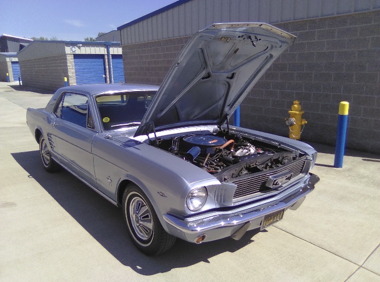 
								1966 Ford Mustang full									
