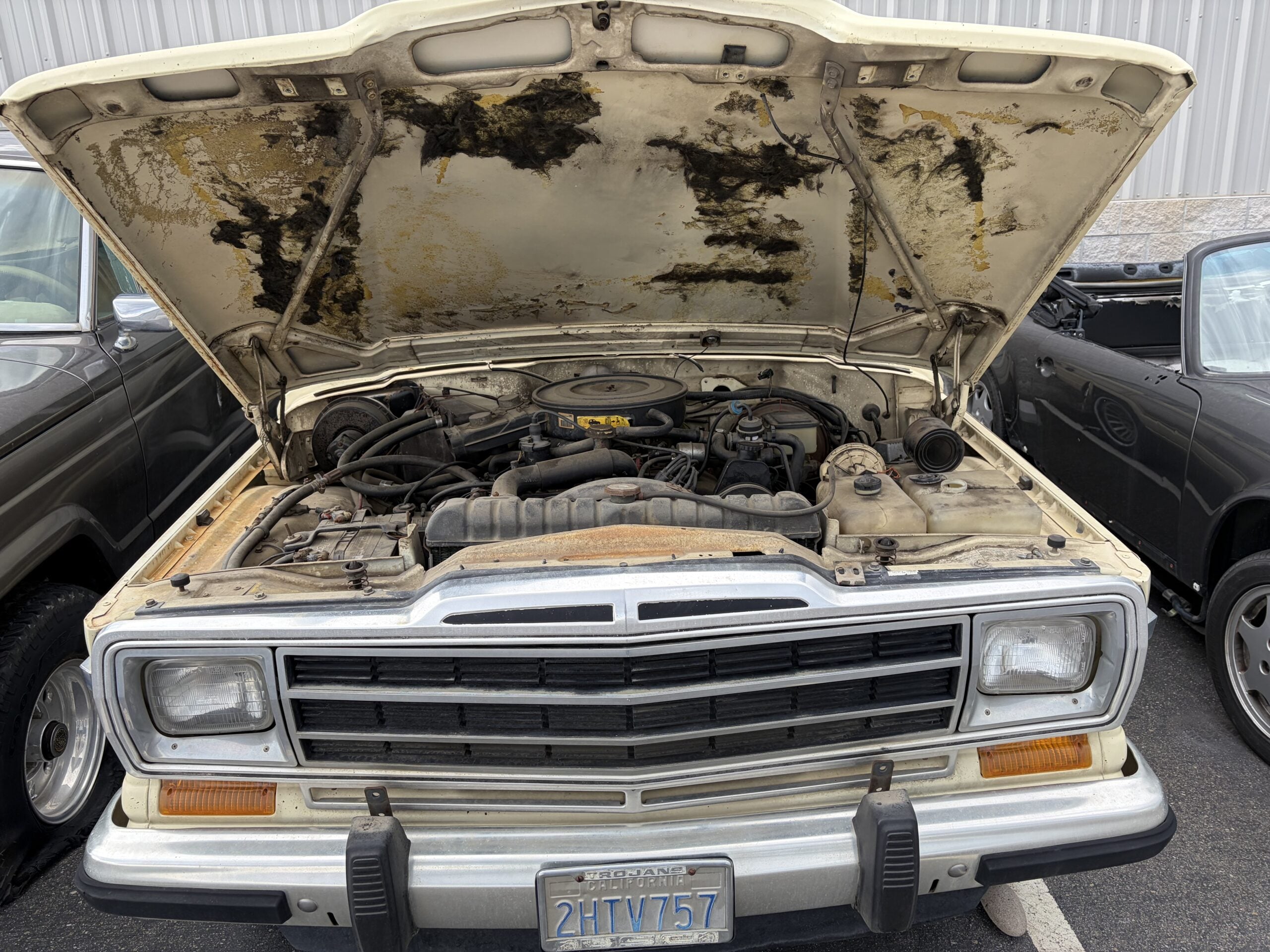 
								1984 Jeep Grand Wagoneer full									