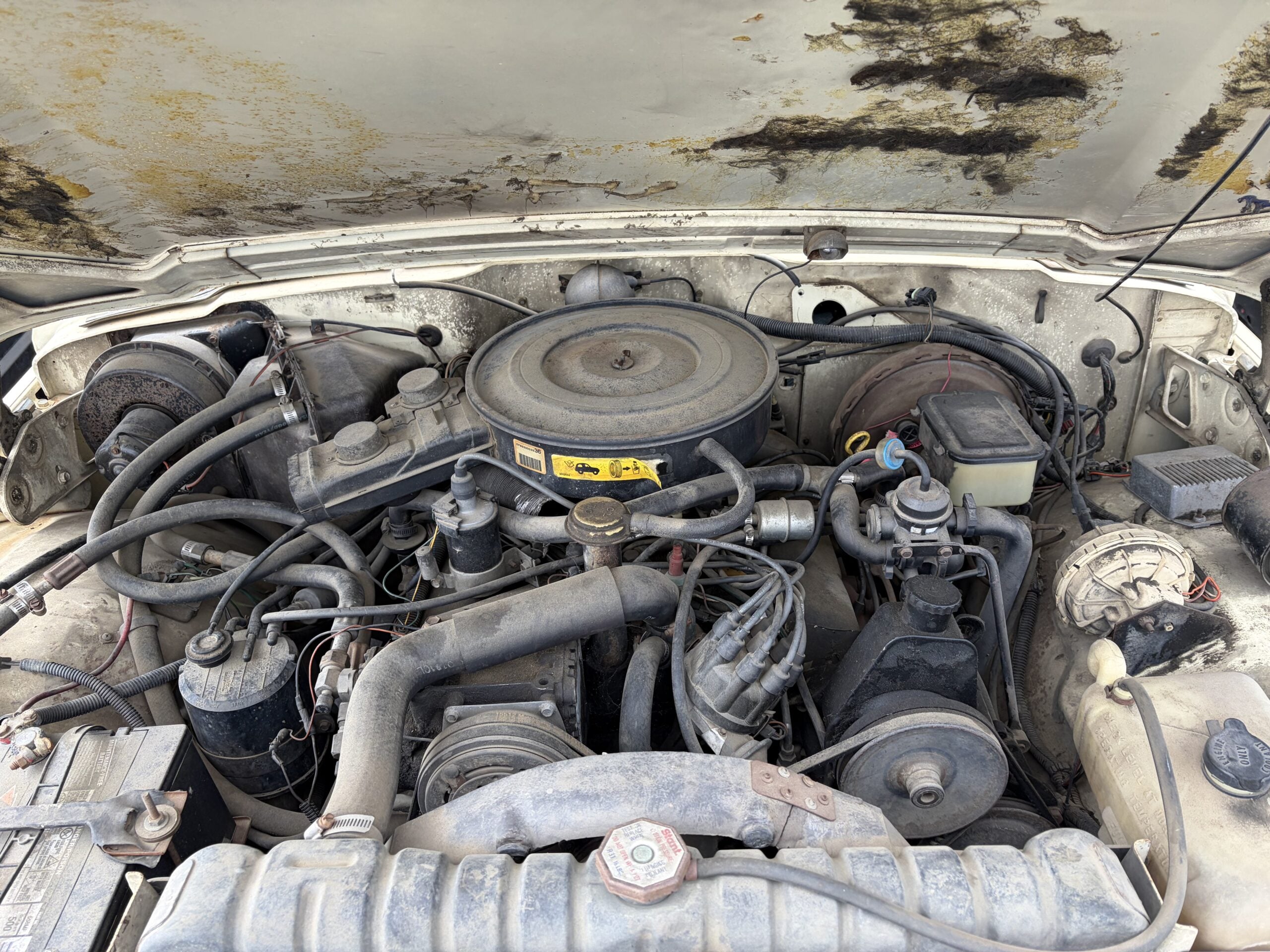 
								1984 Jeep Grand Wagoneer full									