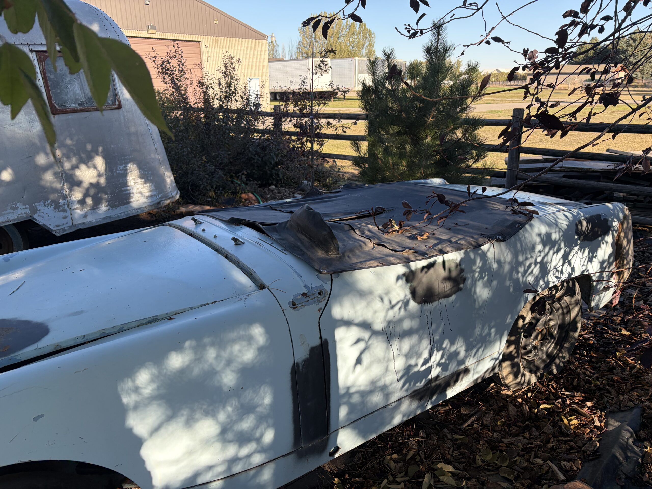 
								1962 Austin Healey Sprite Roadster full									