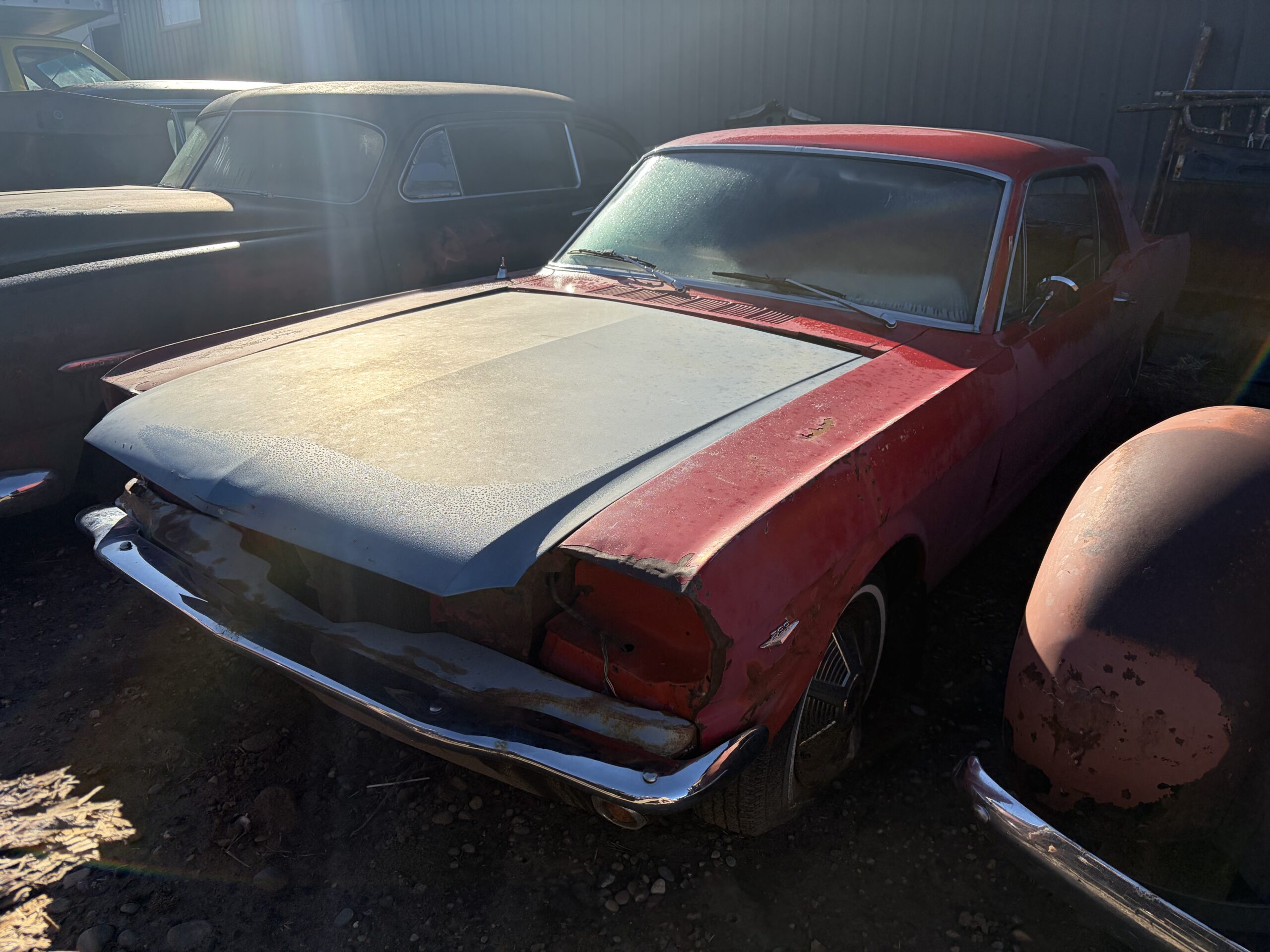 
								1965 Ford Mustang K-code 2 cars full									