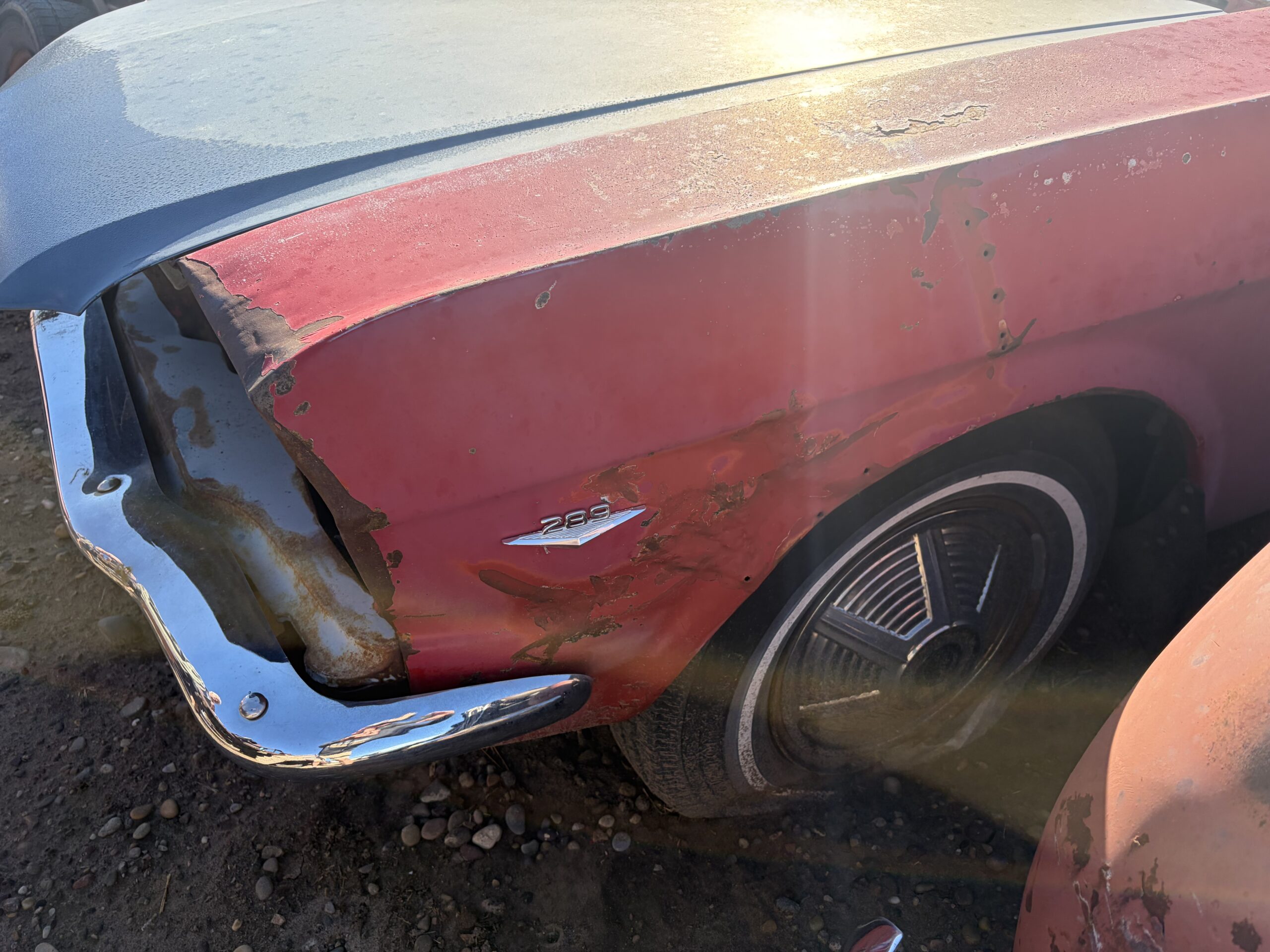 
								1965 Ford Mustang K-code 2 cars full									