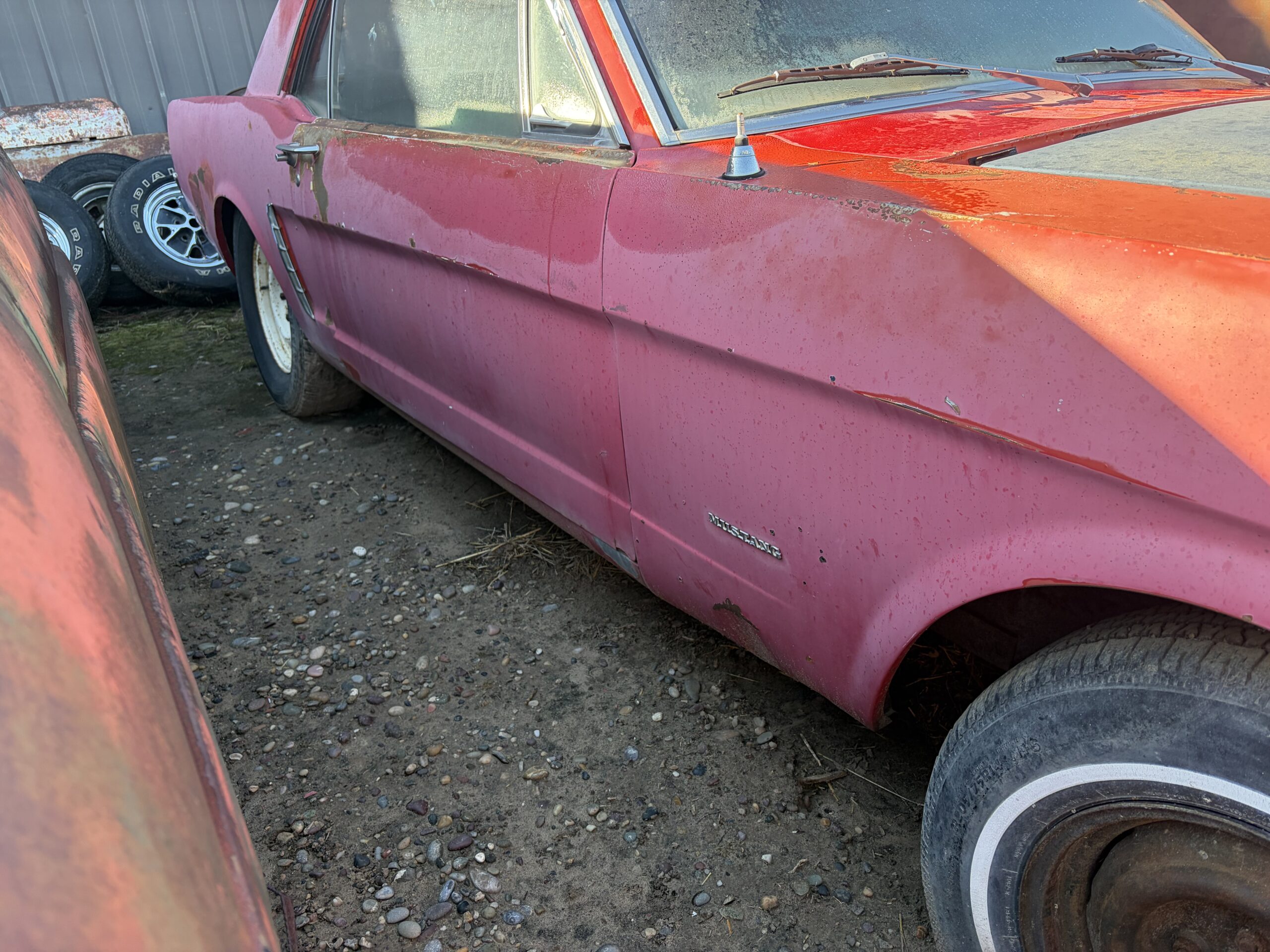 
								1965 Ford Mustang K-code 2 cars full									