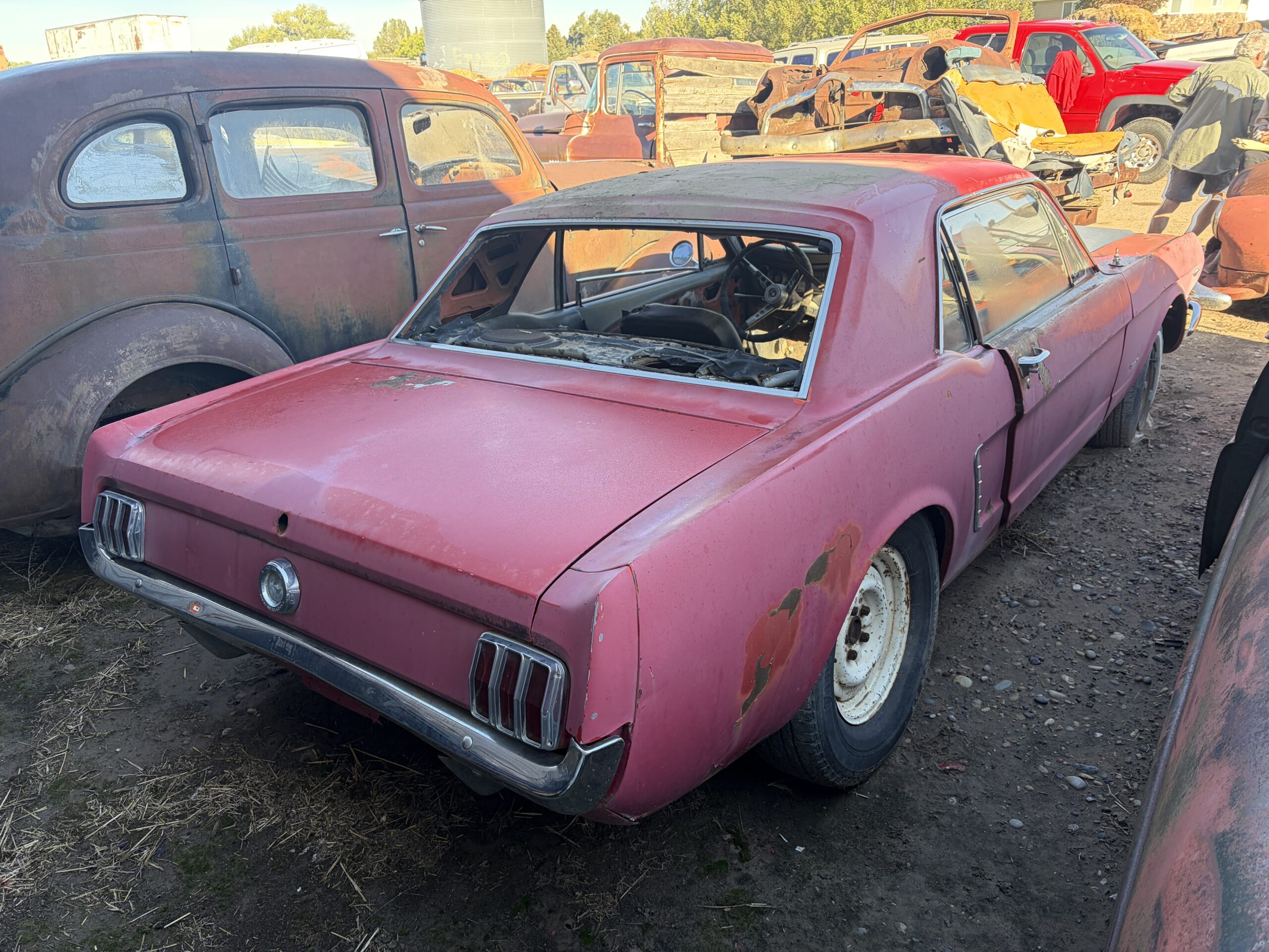
								1965 Ford Mustang K-code 2 cars full									