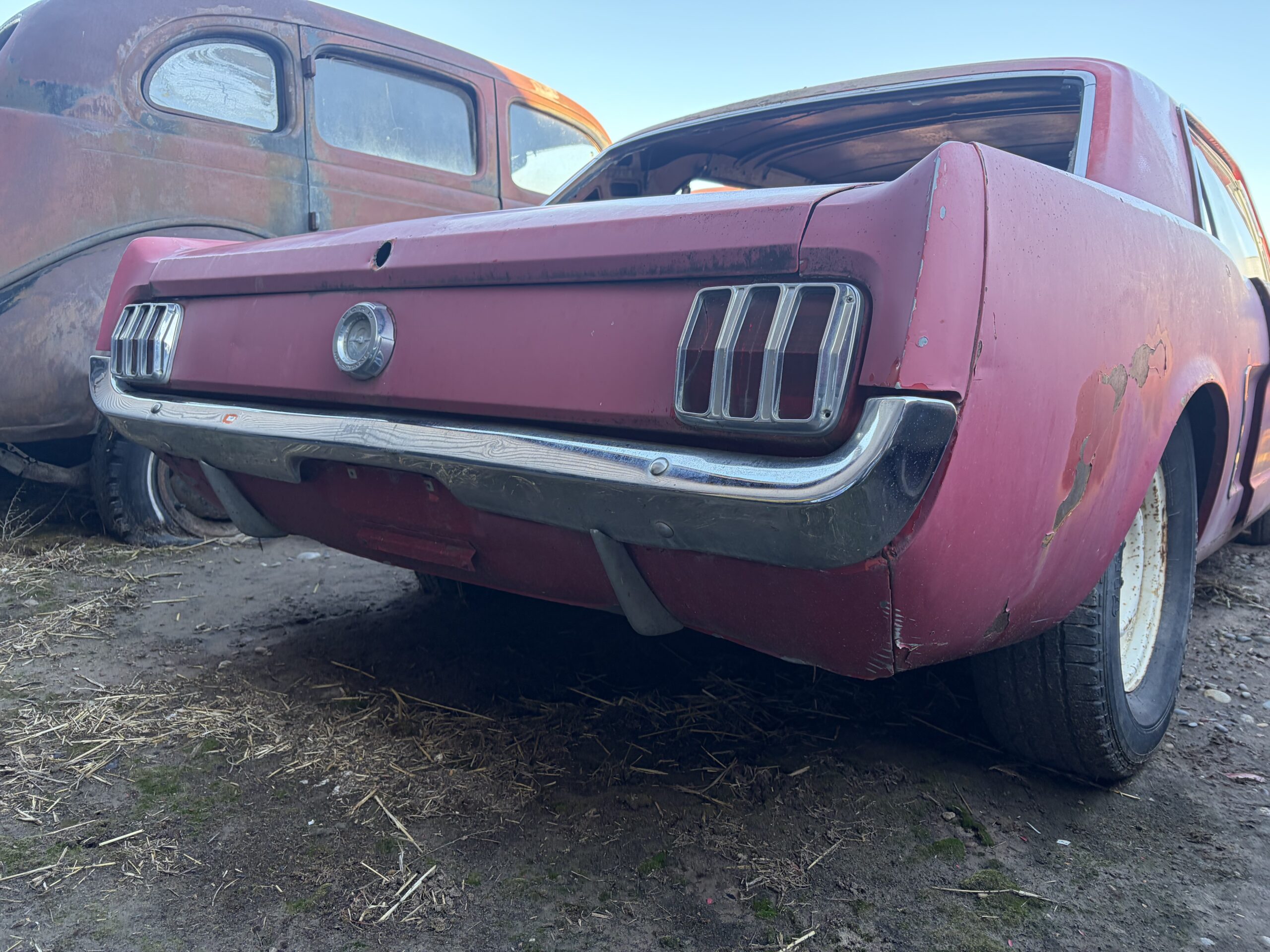
								1965 Ford Mustang K-code 2 cars full									