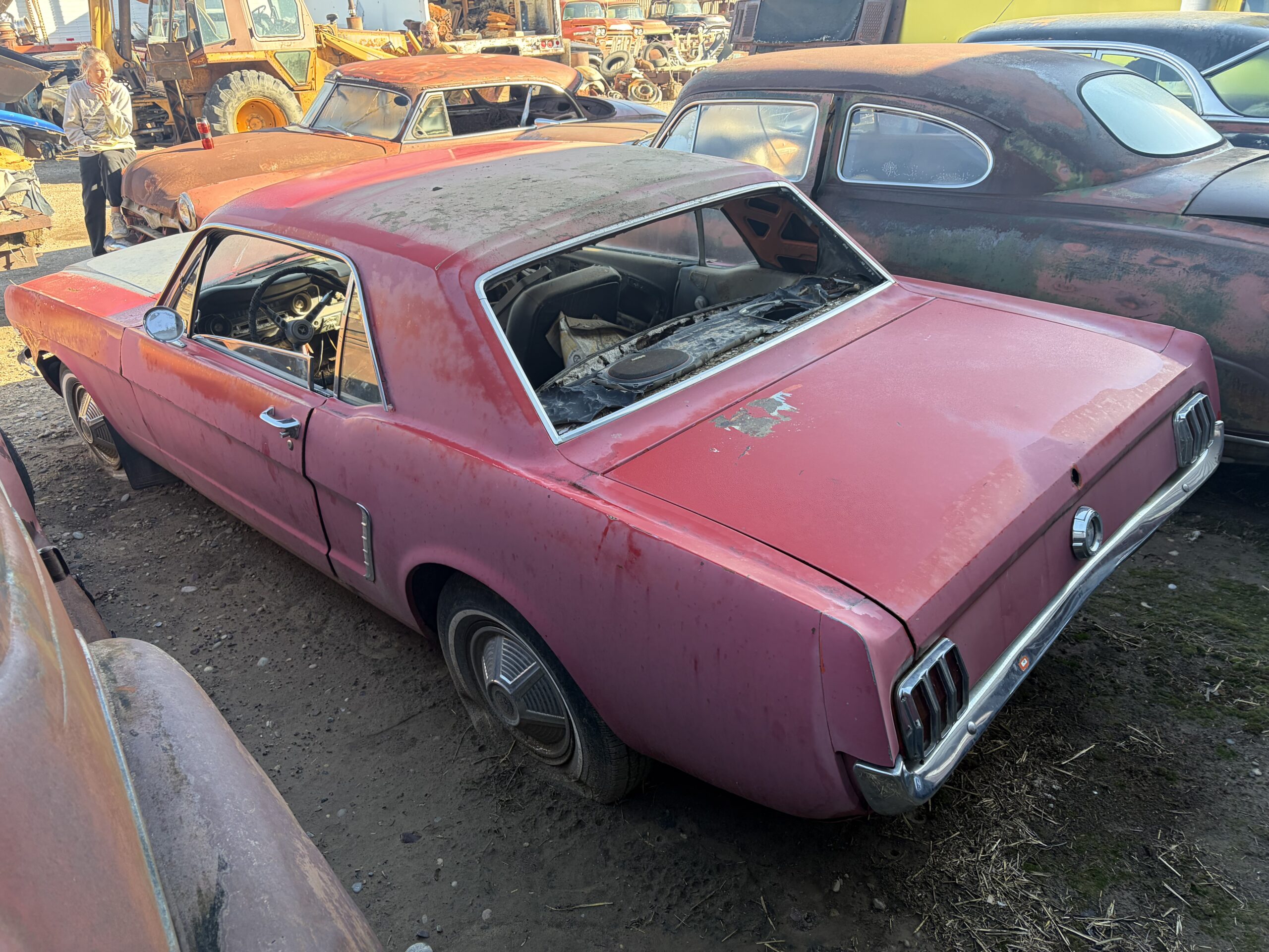 
								1965 Ford Mustang K-code 2 cars full									