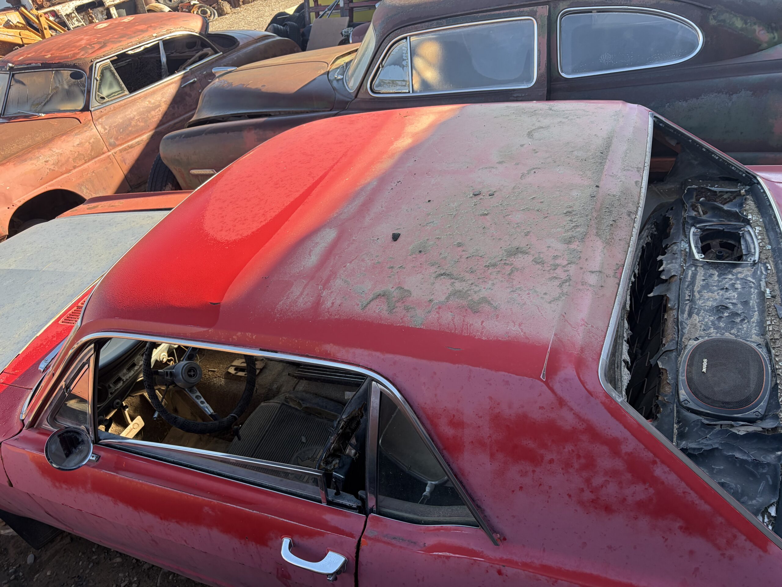 
								1965 Ford Mustang K-code 2 cars full									
