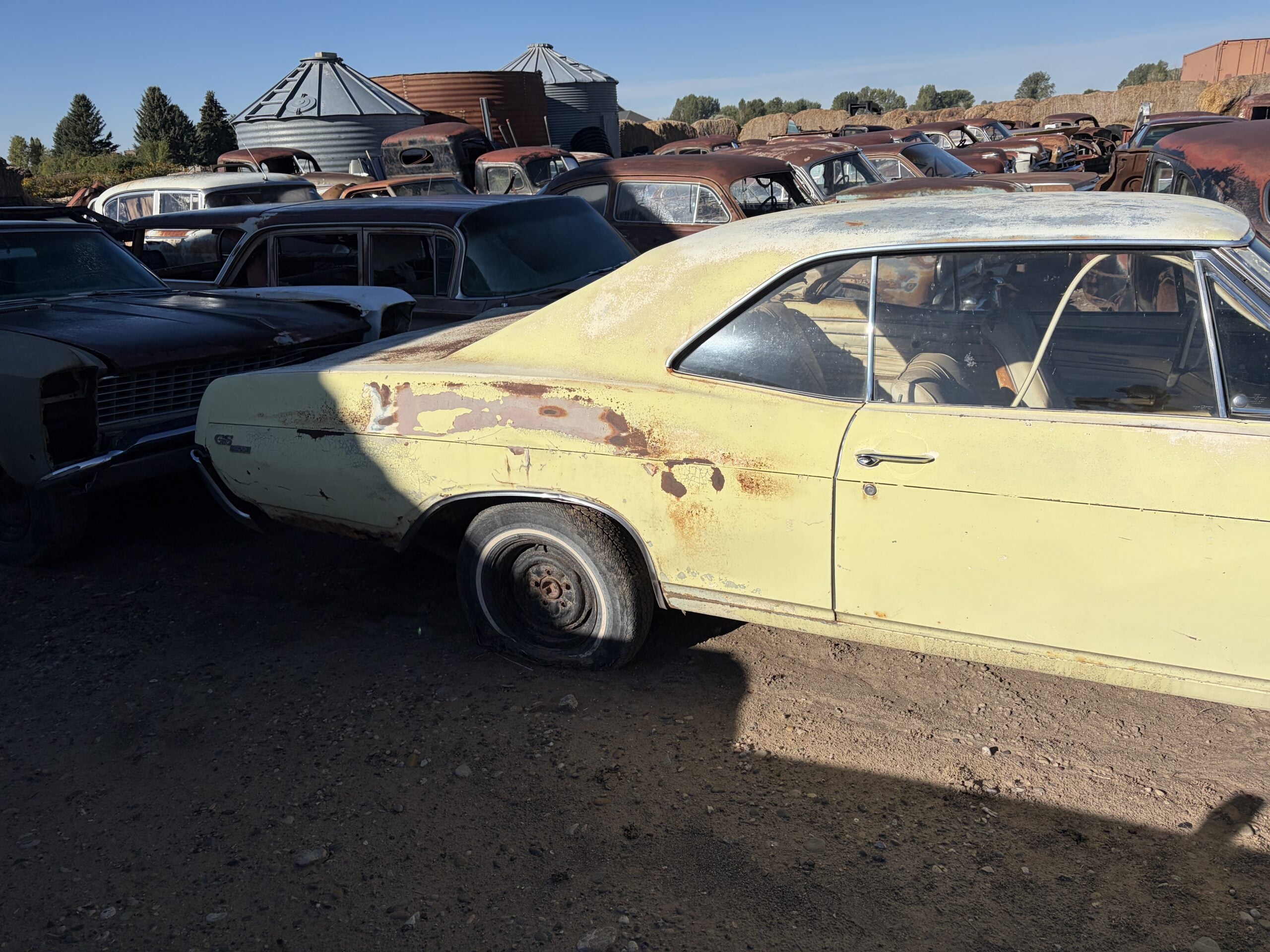 
								1967 Buick Riviera GS full									