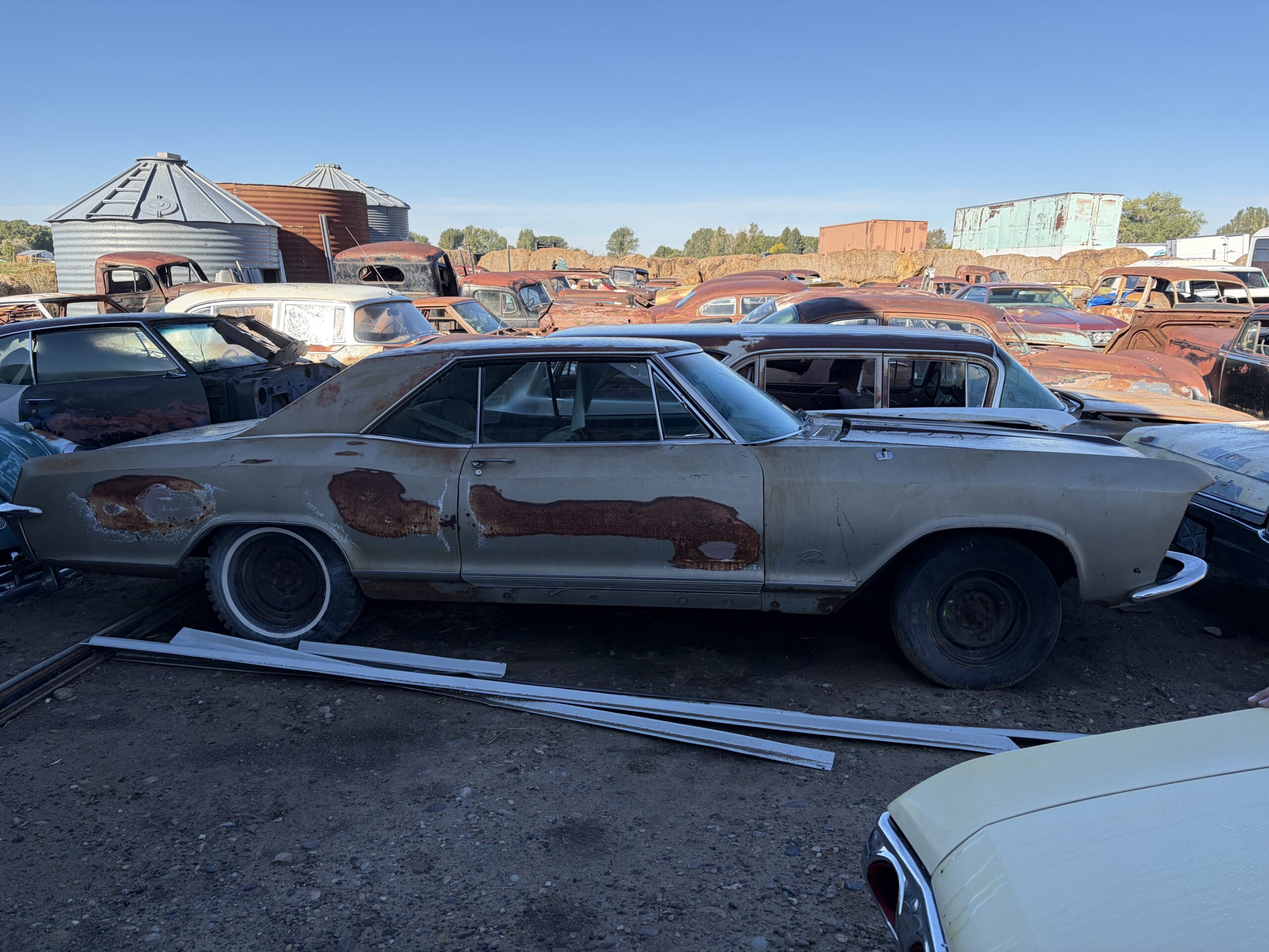 
								1965 Buick Riviera full									