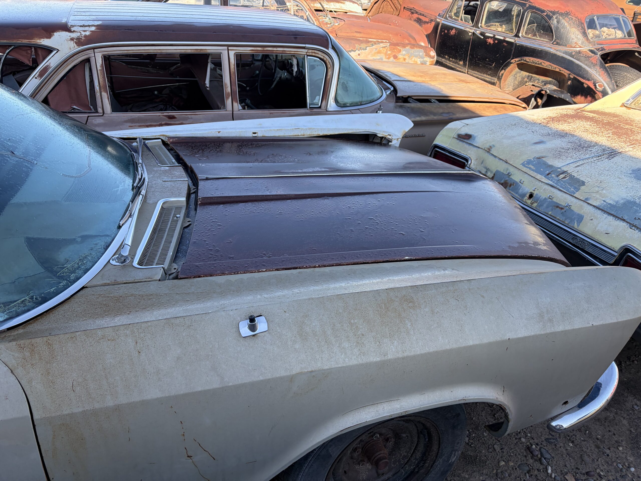 
								1965 Buick Riviera full									