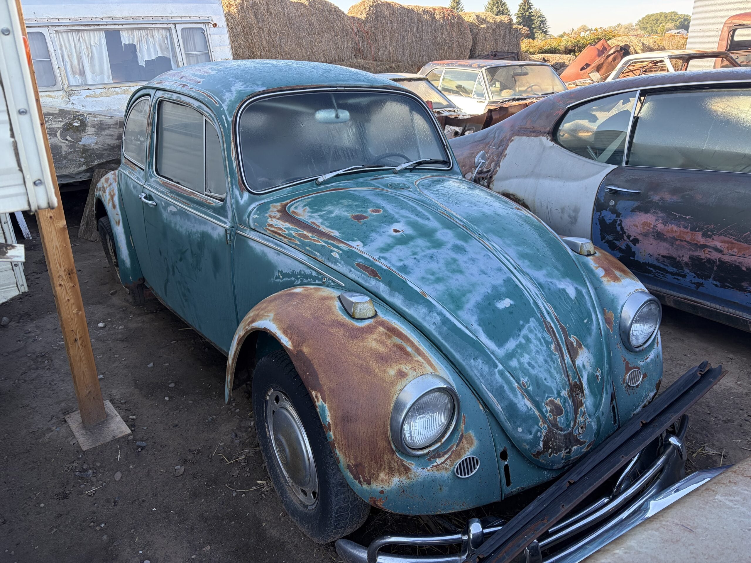 
								1967 Volkswagen Bug full									