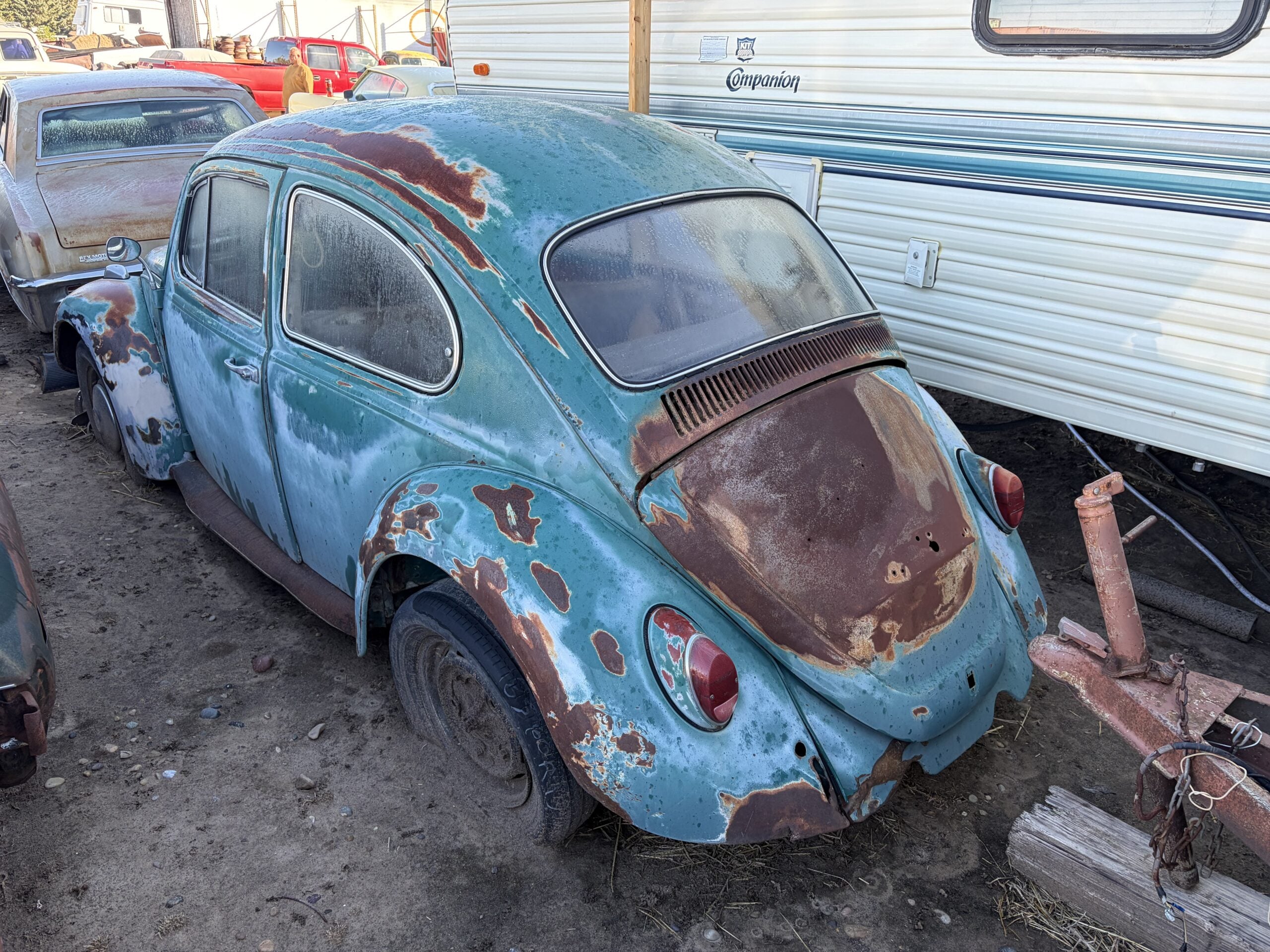 
								1967 Volkswagen Bug full									