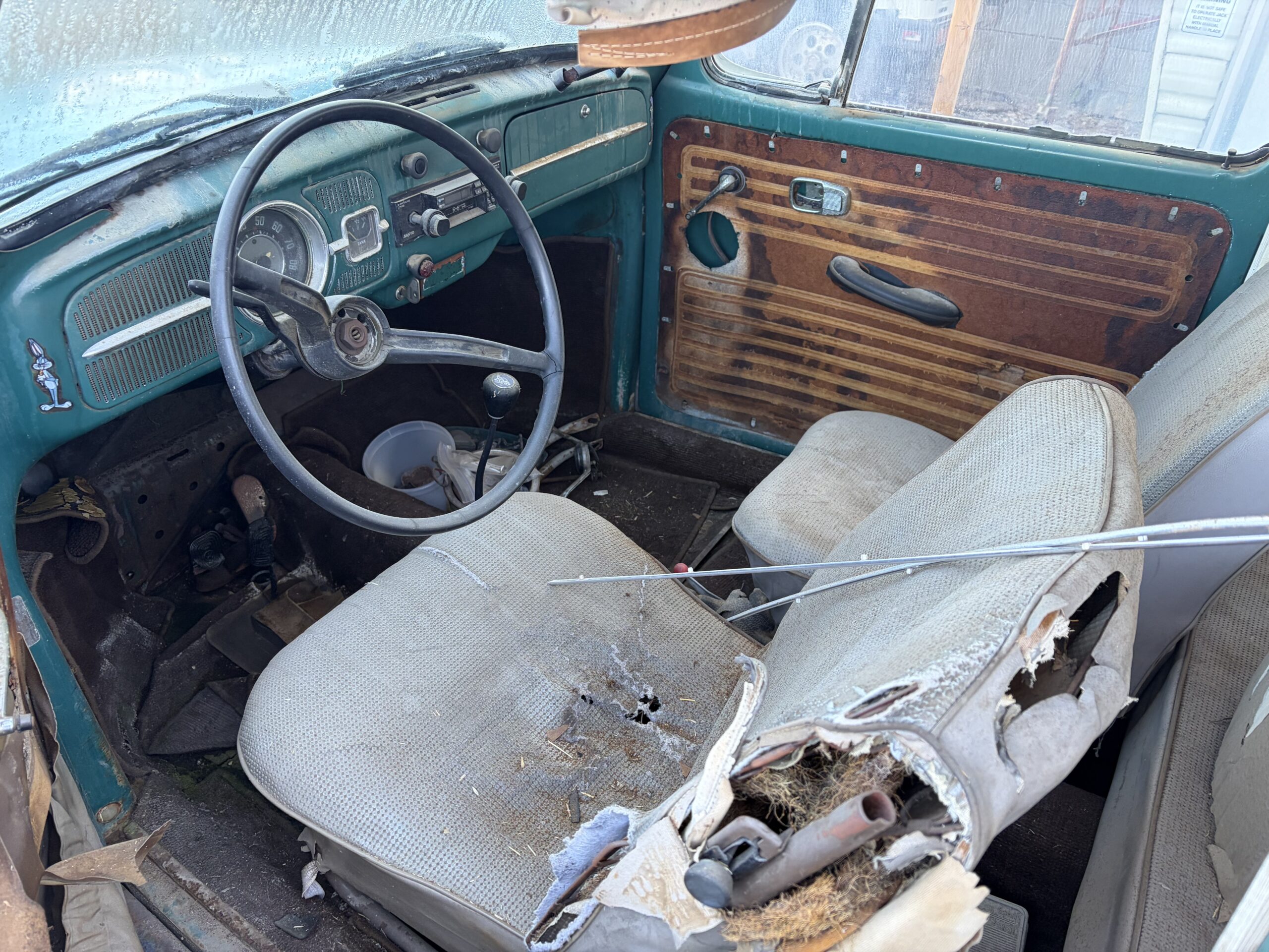
								1967 Volkswagen Bug full									