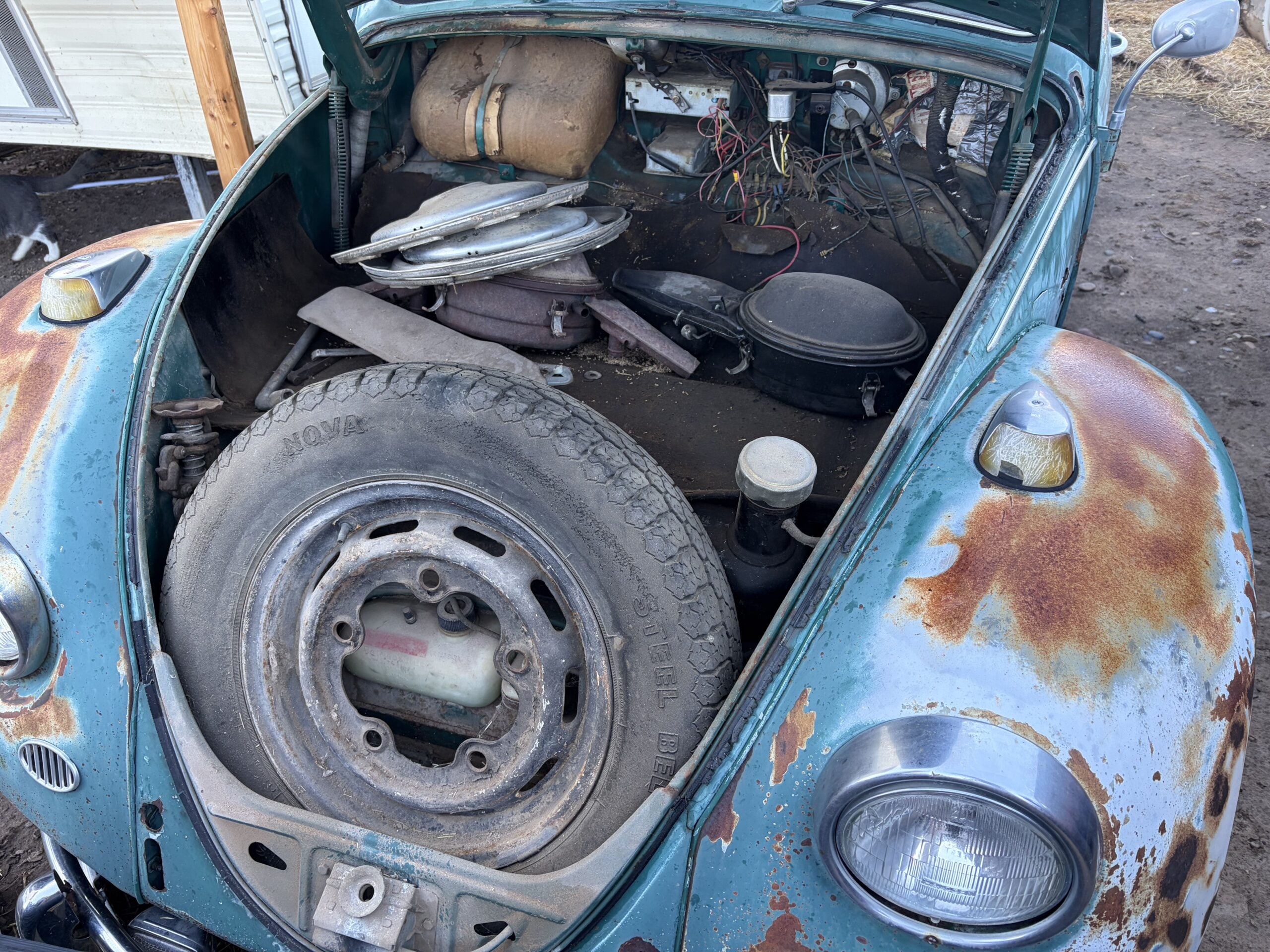 
								1967 Volkswagen Bug full									