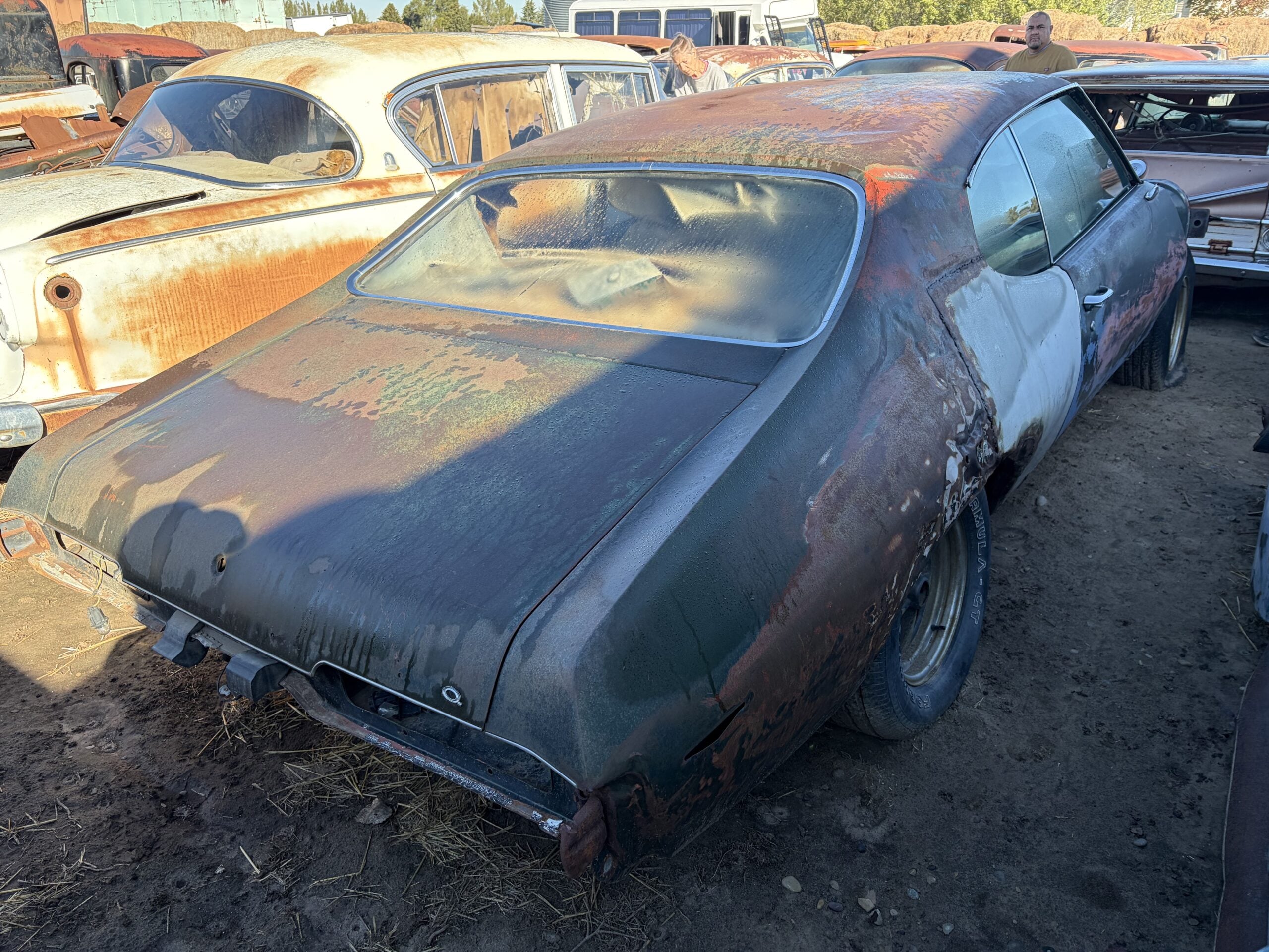 
								1969 Pontiac GTO full									