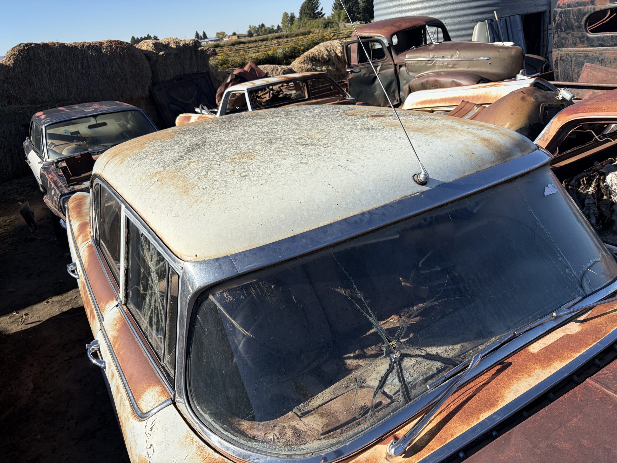 
								1955 Hudson Hornet full									