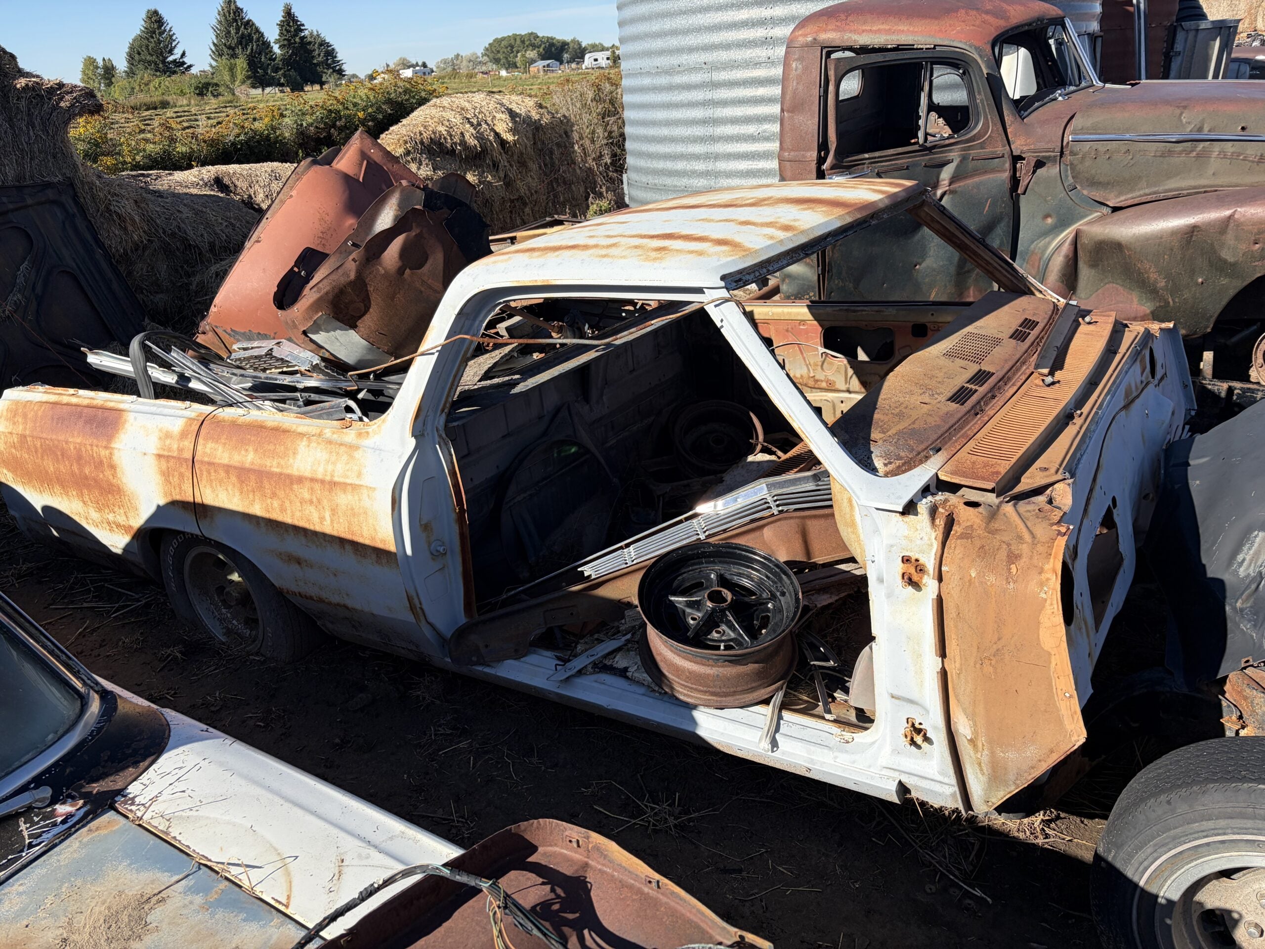 
								1966 Chevrolet El Camino full									