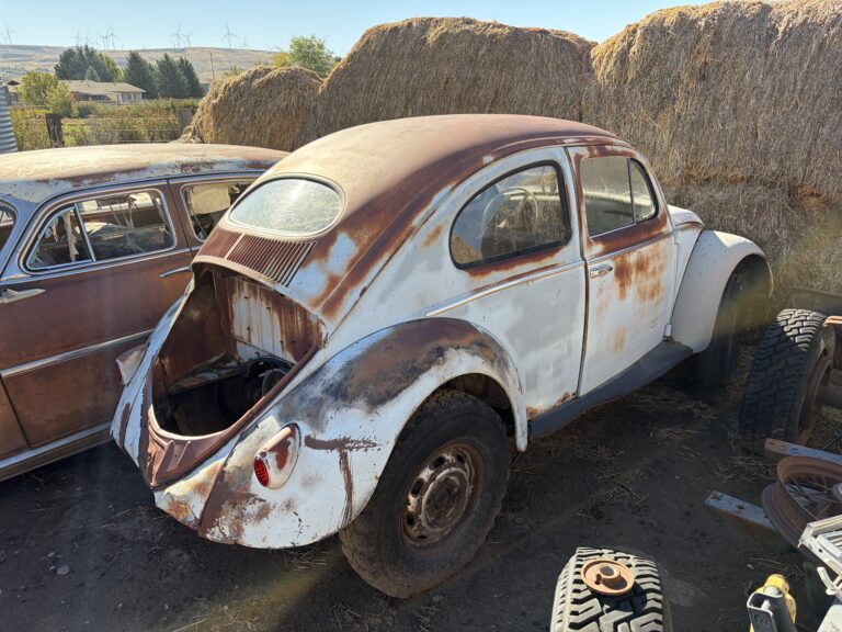 1957 Volkswagen Bug