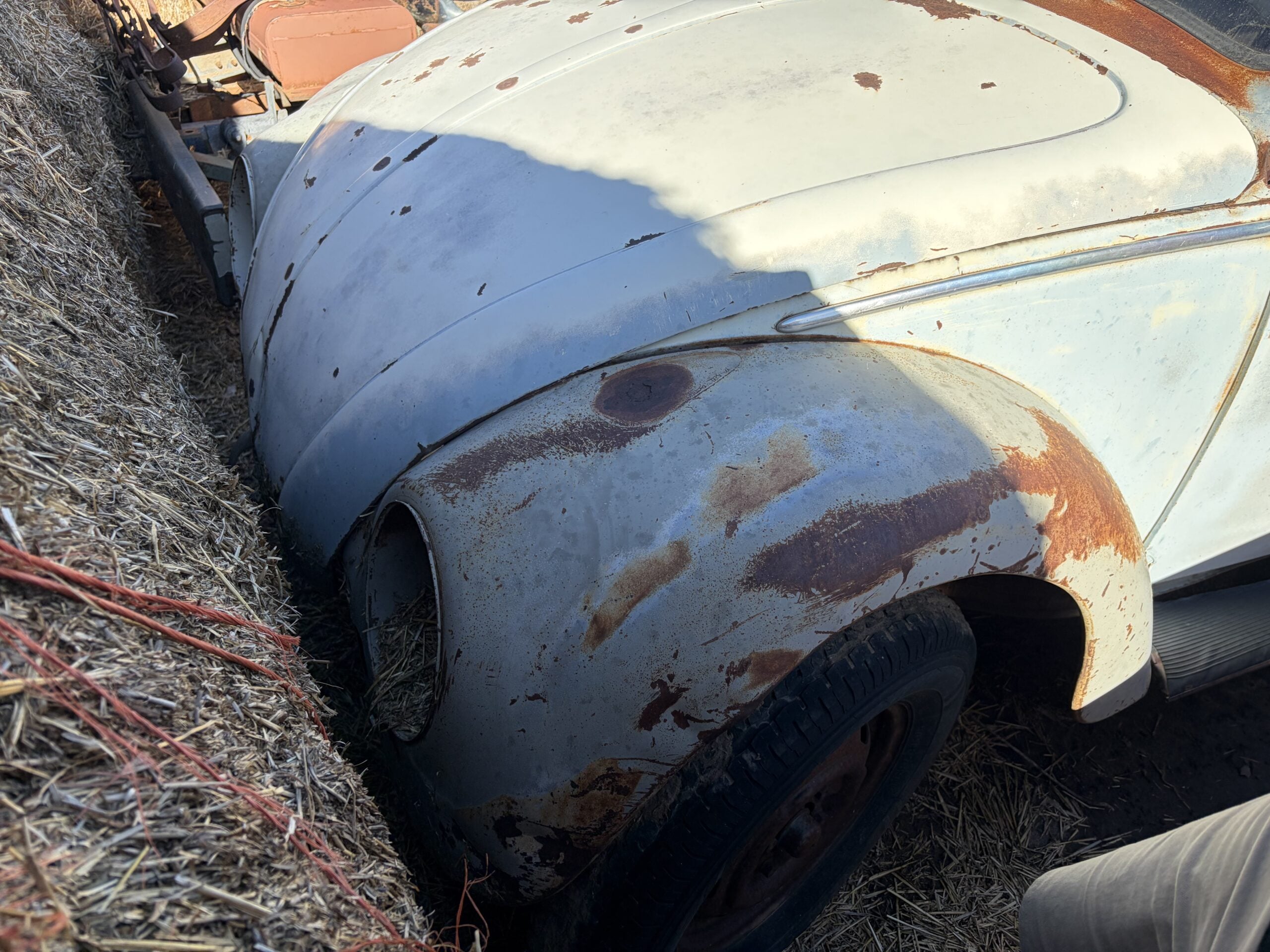
								1957 Volkswagen Bug full									