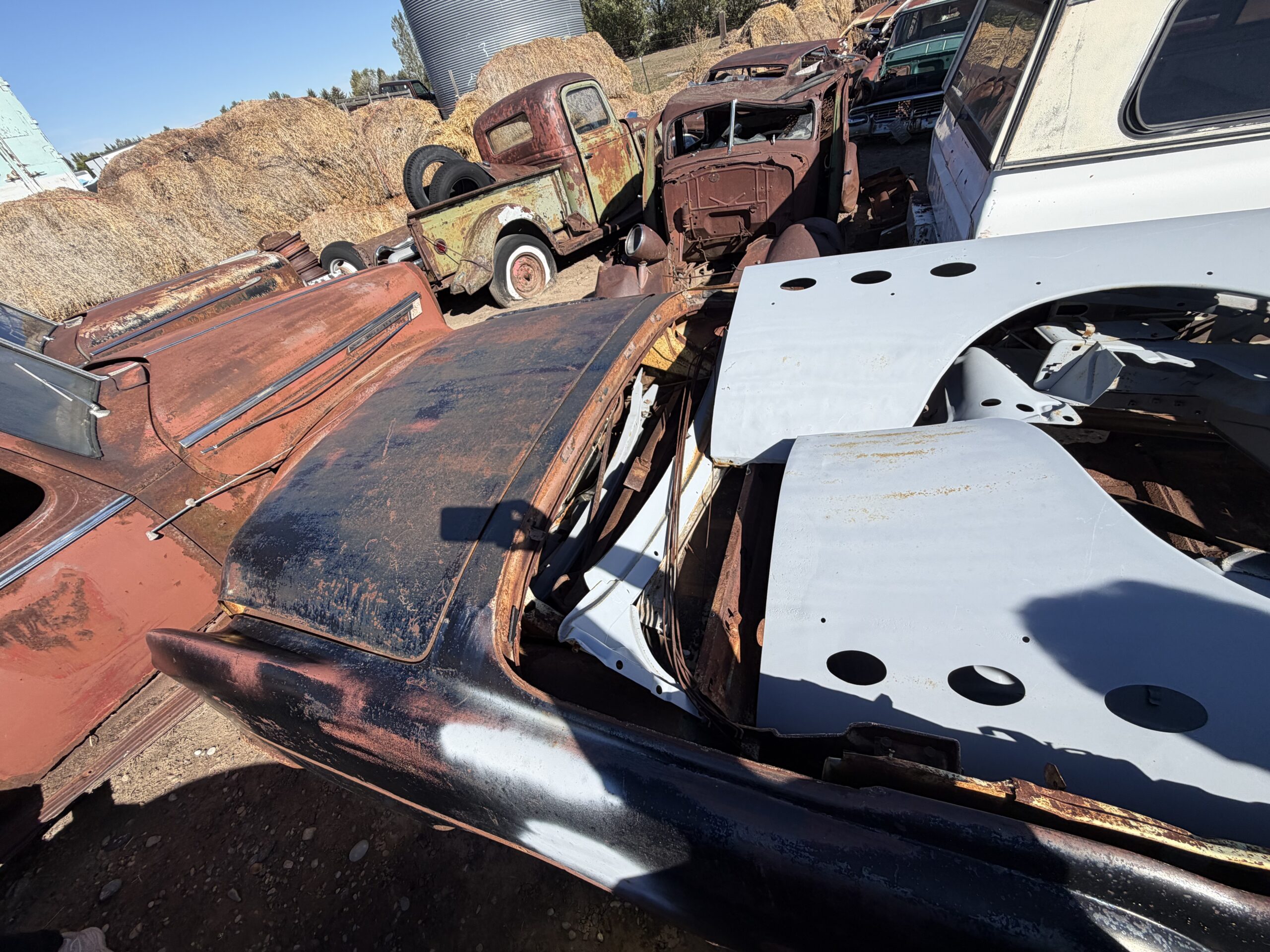 
								1954 Buick Convertible Project full									
