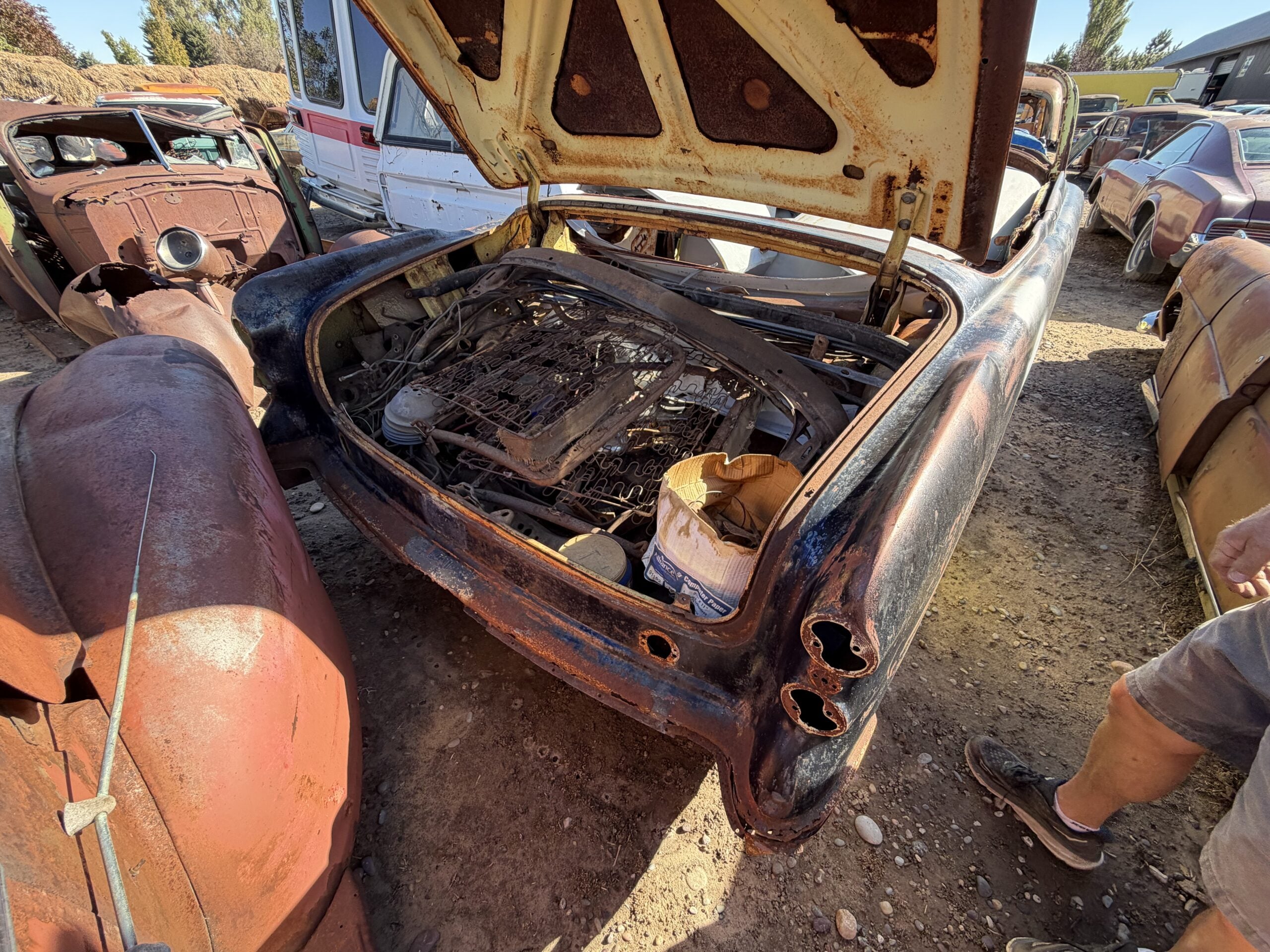 
								1954 Buick Convertible Project full									