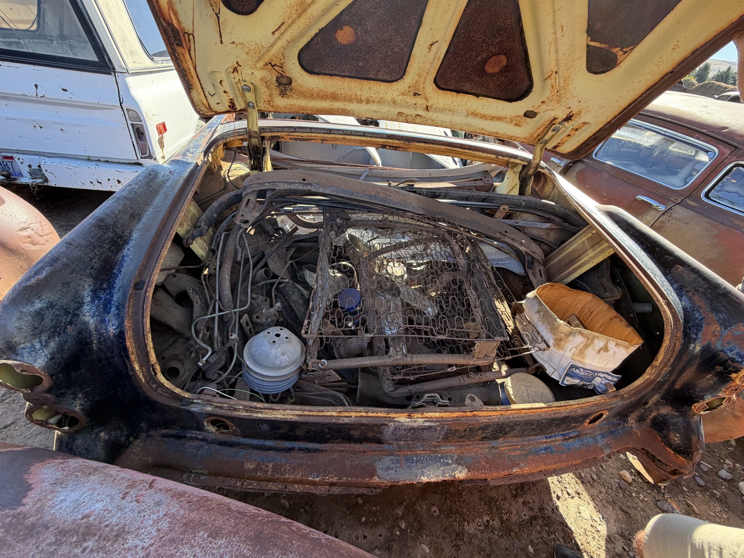 
								1954 Buick Convertible Project full									