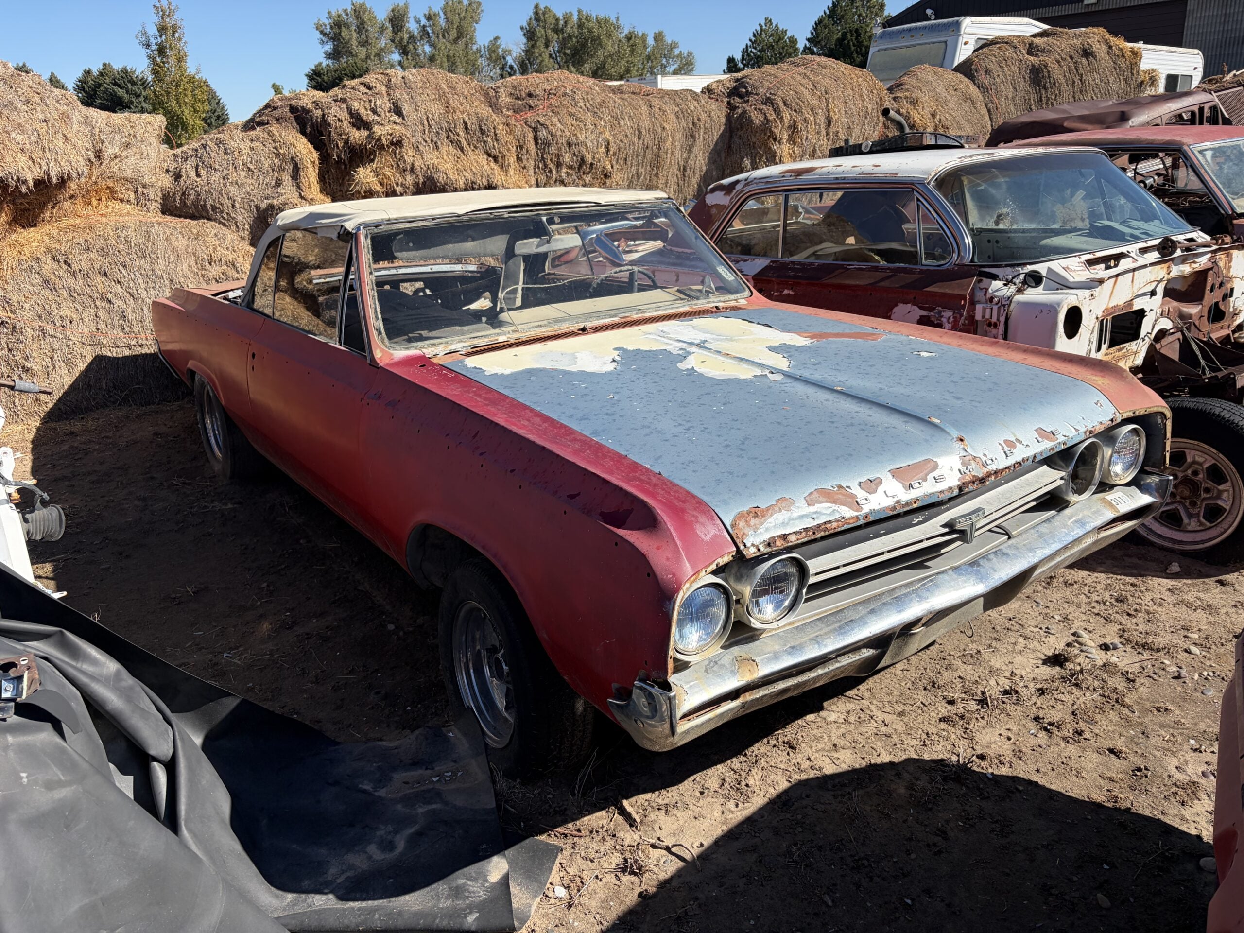 
								1964 Oldsmobile 442 Convertible full									