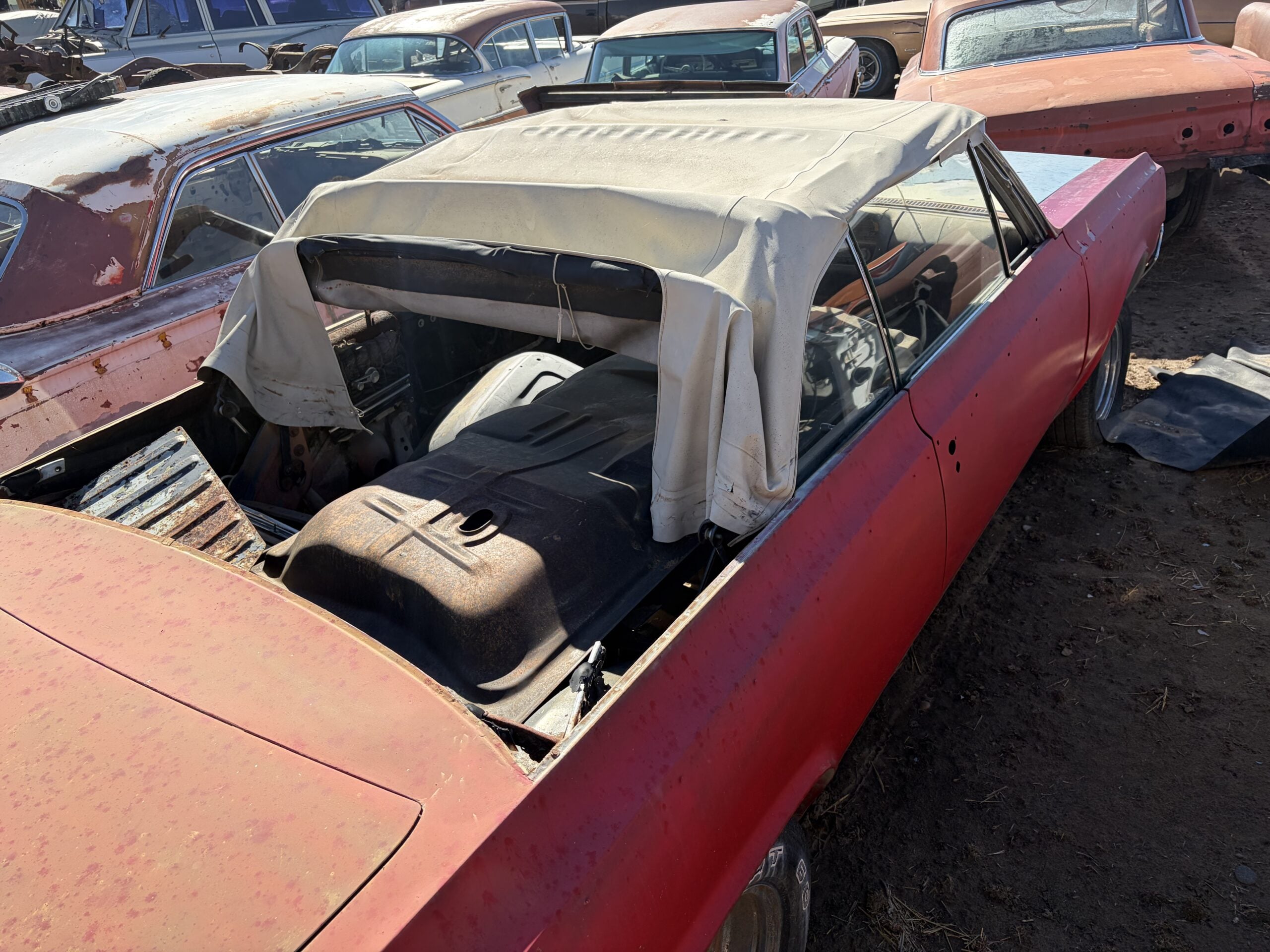 
								1964 Oldsmobile 442 Convertible full									