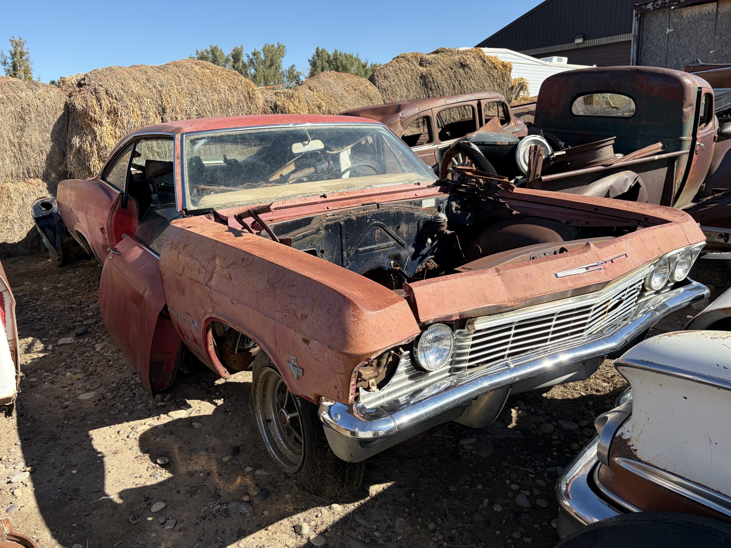 
								1965 Chevrolet Impala Project full									