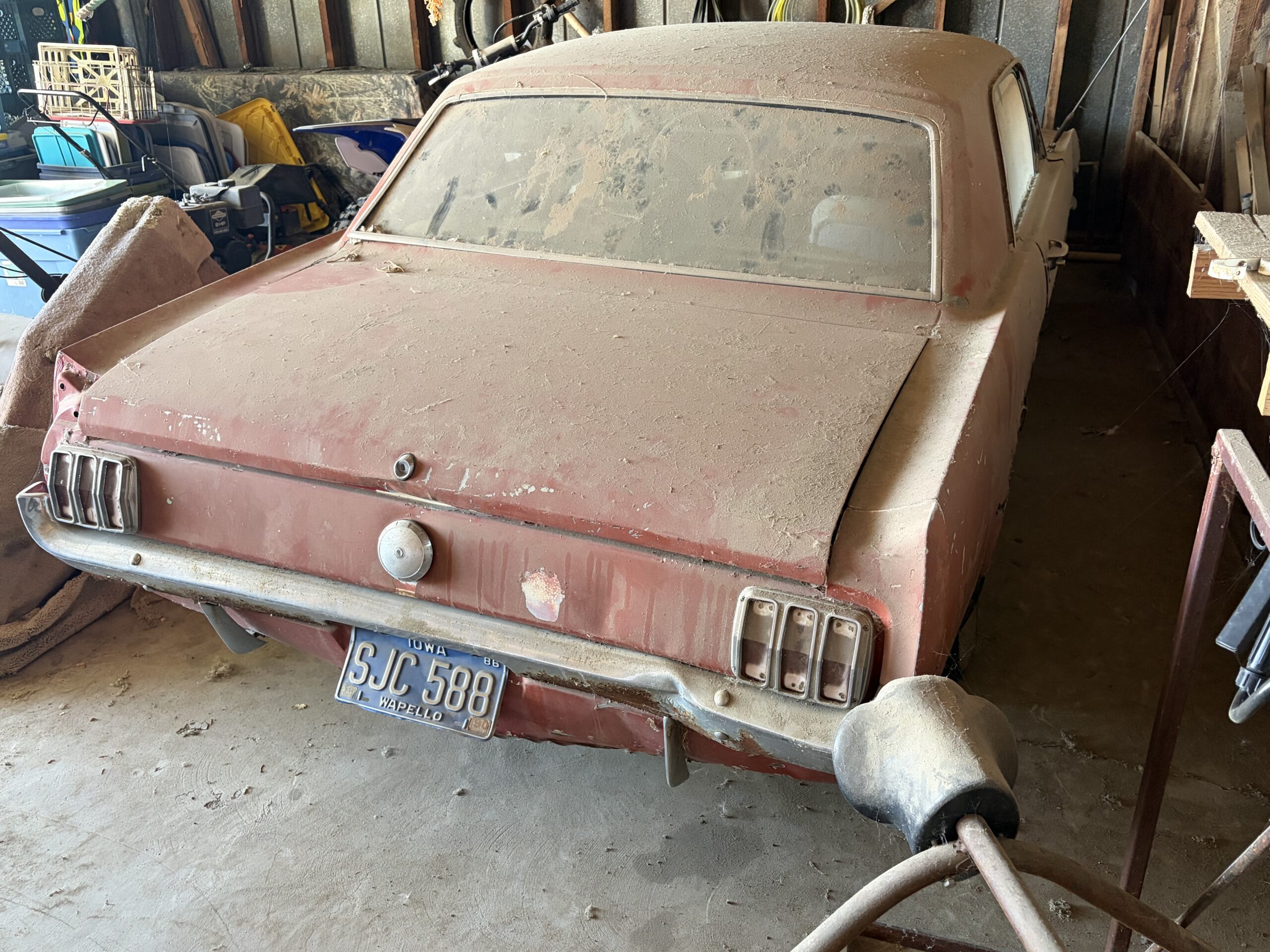 
								1965 Ford Mustang K-code 2 cars full									